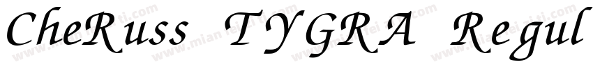 CheRuss TYGRA Regular字体转换